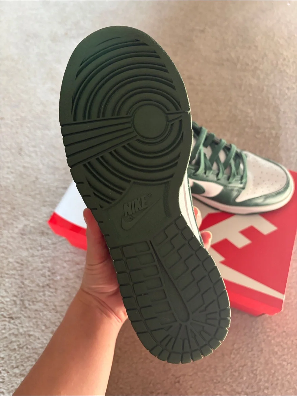 Nike Michigan State Dunks
